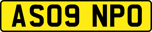 AS09NPO