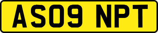 AS09NPT