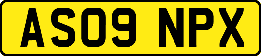 AS09NPX