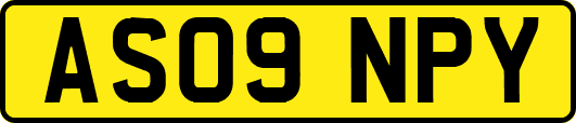 AS09NPY