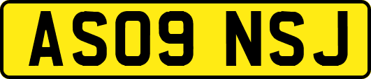 AS09NSJ