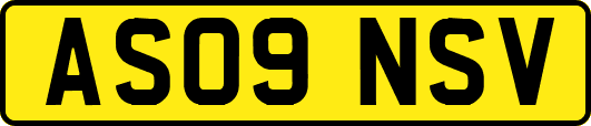 AS09NSV