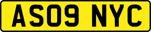 AS09NYC