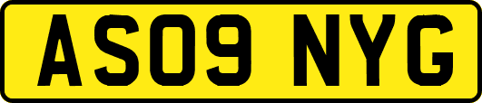AS09NYG