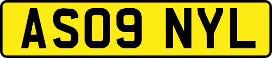AS09NYL