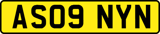 AS09NYN