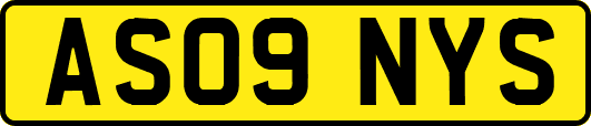 AS09NYS