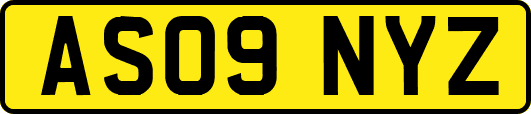 AS09NYZ