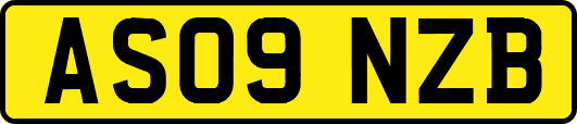AS09NZB