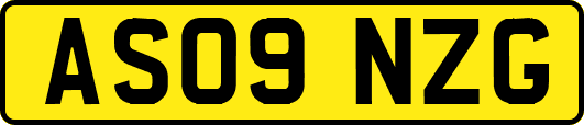 AS09NZG