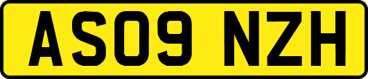 AS09NZH
