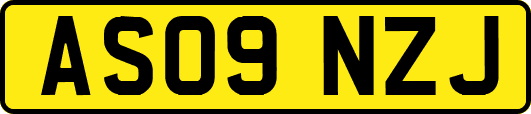 AS09NZJ