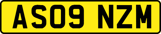 AS09NZM