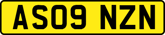 AS09NZN