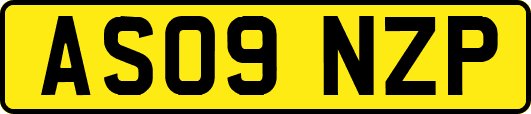 AS09NZP