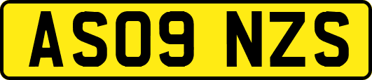 AS09NZS