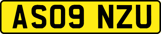 AS09NZU