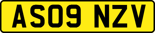 AS09NZV