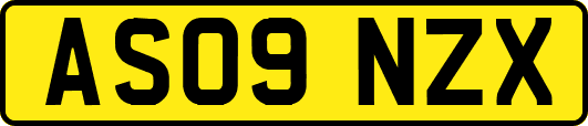 AS09NZX