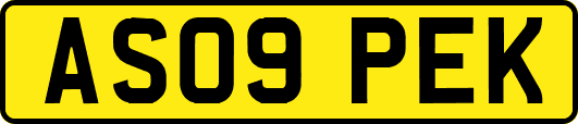 AS09PEK