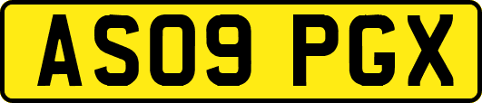 AS09PGX