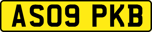 AS09PKB