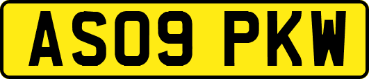 AS09PKW