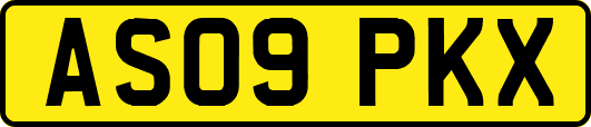 AS09PKX