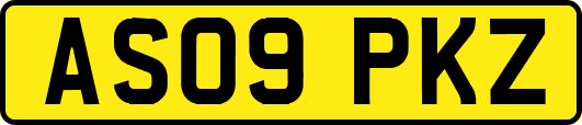AS09PKZ