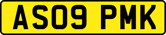 AS09PMK