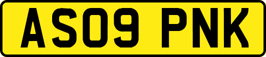 AS09PNK