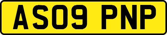 AS09PNP
