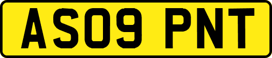 AS09PNT
