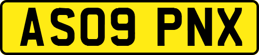 AS09PNX