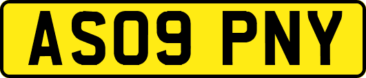 AS09PNY