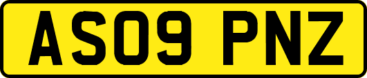AS09PNZ