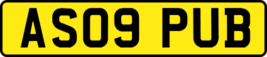 AS09PUB