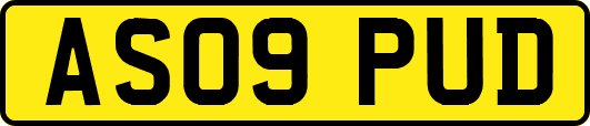 AS09PUD