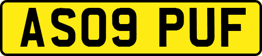 AS09PUF