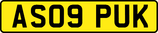 AS09PUK