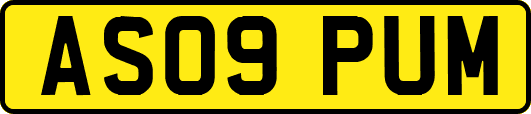 AS09PUM