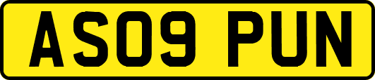 AS09PUN