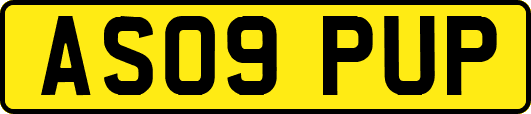 AS09PUP
