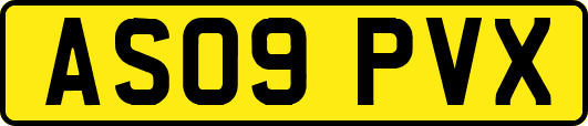 AS09PVX