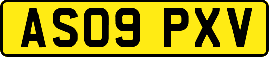 AS09PXV