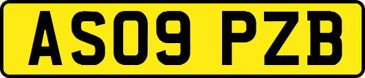 AS09PZB