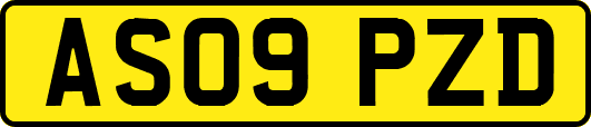 AS09PZD