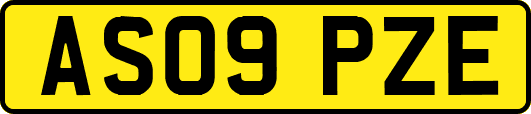 AS09PZE
