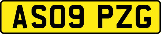 AS09PZG