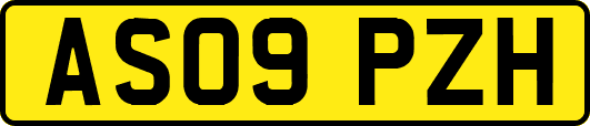 AS09PZH